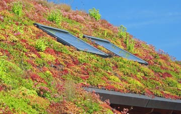 Y Ffor living roof systems